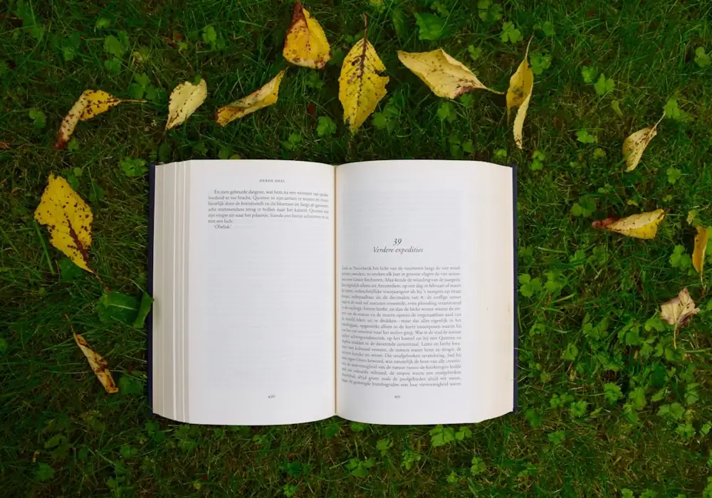 An open book resting on grass with autumn leaves